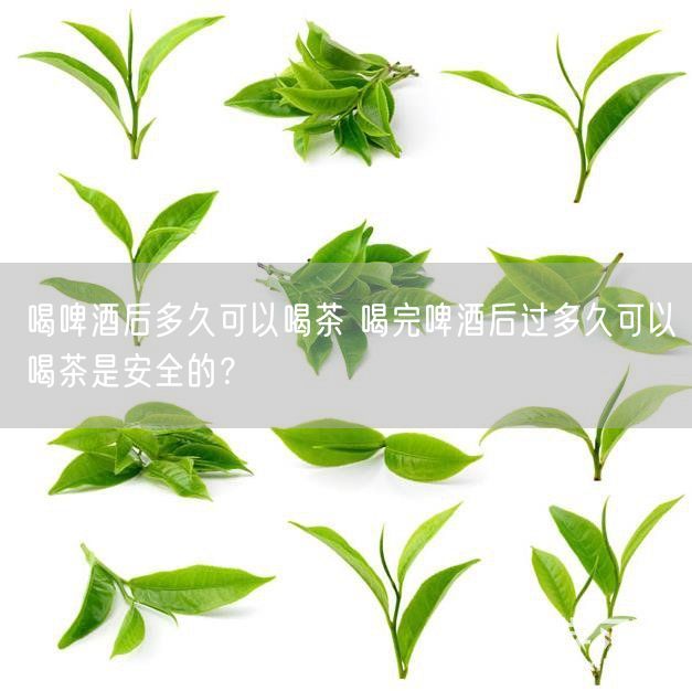 喝啤酒后多久可以喝茶 喝完啤酒后过多久可以喝茶是安全的？