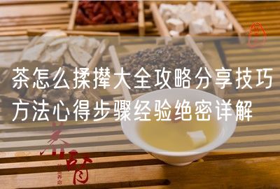 茶怎么揉撵大全攻略分享技巧方法心得步骤经验绝密详解