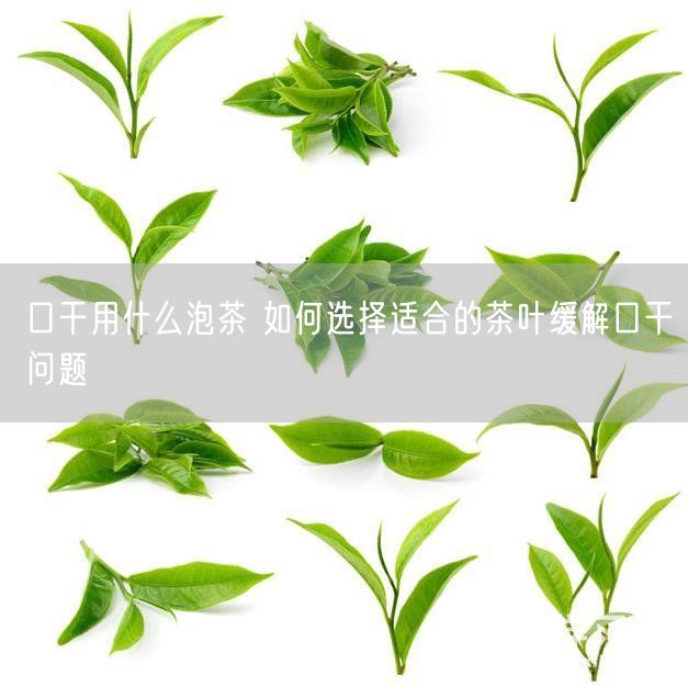 口干用什么泡茶 如何选择适合的茶叶缓解口干问题