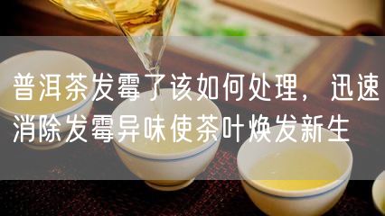 普洱茶发霉了该如何处理，迅速消除发霉异味使茶叶焕发新生