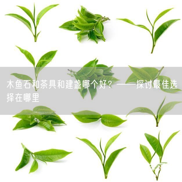 木鱼石和茶具和建盏哪个好？——探讨最佳选择在哪里