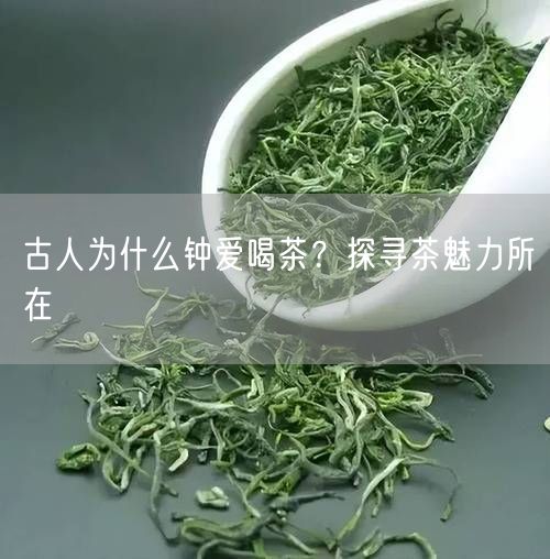 古人为什么钟爱喝茶？探寻茶魅力所在