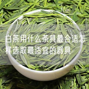 白茶用什么茶具最合适怎样选取最适宜的器具