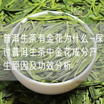 普洱生茶有金花为什么-探讨普洱生茶中金花成分产生原因及功效分