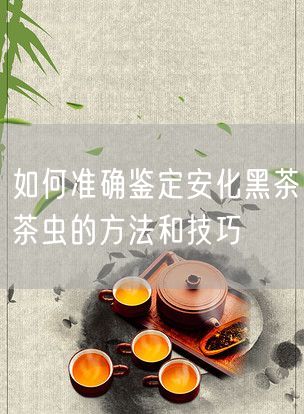 如何准确鉴定安化黑茶茶虫的方法和技巧