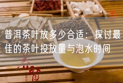 普洱茶叶放多少合适：探讨最佳的茶叶投放量与泡水时间