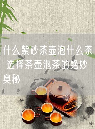 什么紫砂茶壶泡什么茶 选择茶壶泡茶的绝妙奥秘