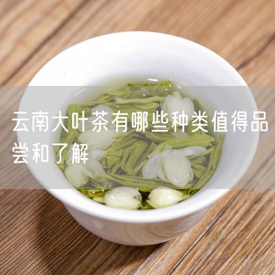 云南大叶茶有哪些种类值得品尝和了解