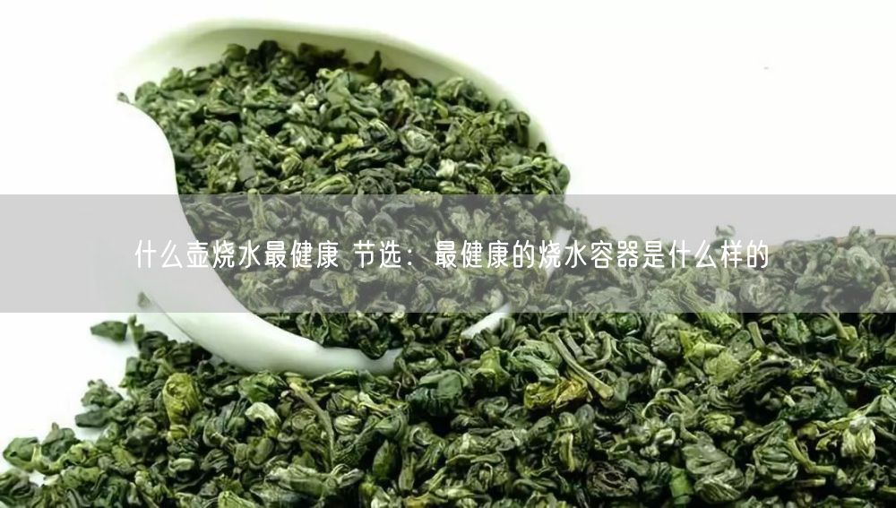 什么壶烧水最健康 节选：最健康的烧水容器是什么样的