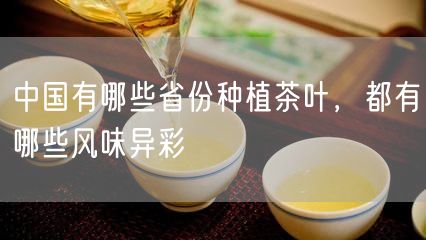 中国有哪些省份种植茶叶，都有哪些风味异彩　