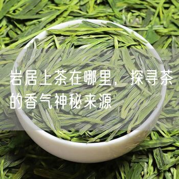 岩居上茶在哪里，探寻茶的香气神秘来源