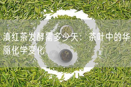 滇红茶发酵需多少天：茶叶中的华丽化学变化