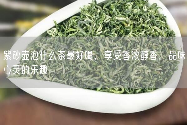 紫砂壶泡什么茶最好喝，享受香浓醇香，品味心灵的乐趣