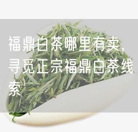 福鼎白茶哪里有卖，寻觅正宗福鼎白茶线索