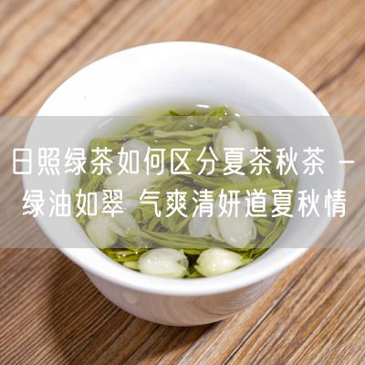 日照绿茶如何区分夏茶秋茶 - 绿油如翠 气爽清妍道夏秋情