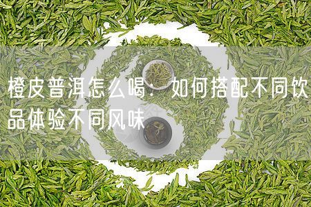 橙皮普洱怎么喝：如何搭配不同饮品体验不同风味