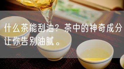 什么茶能刮油？茶中的神奇成分让你告别油腻。