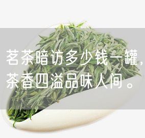 茗茶暗访多少钱一罐，茶香四溢品味人间。