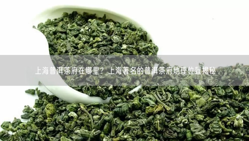 上海普洱茶府在哪里？上海著名的普洱茶府地理位置揭秘