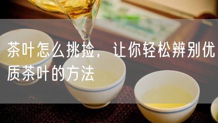 茶叶怎么挑捡，让你轻松辨别优质茶叶的方法