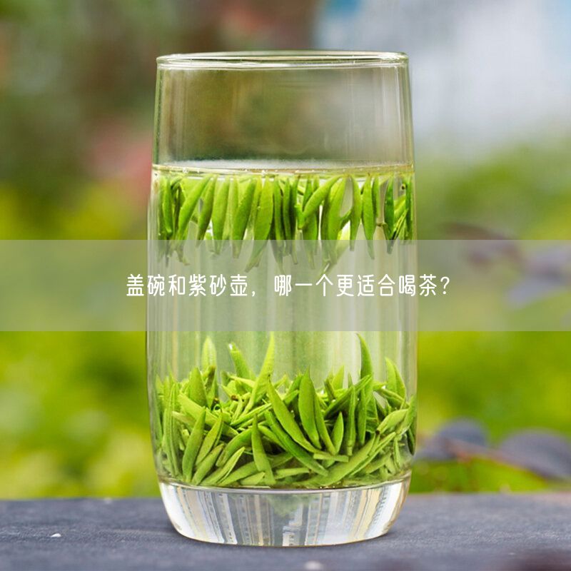 盖碗和紫砂壶，哪一个更适合喝茶？