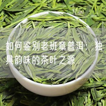 如何鉴别老班章普洱：独具韵味的茶叶之源