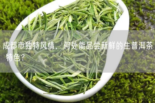 成都市独特风情，何处能品尝新鲜的生普洱茶 特色？