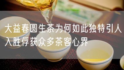 大益春圆生茶为何如此独特引人入胜俘获众多茶客心界