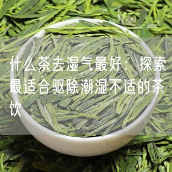 什么茶去湿气最好：探索最适合驱除潮湿不适的茶饮