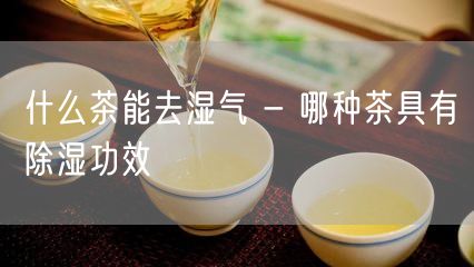 什么茶能去湿气 - 哪种茶具有除湿功效