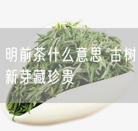 明前茶什么意思 古树新芽藏珍贵