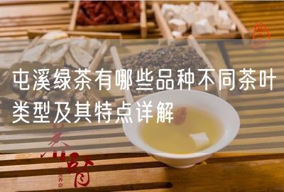 屯溪绿茶有哪些品种不同茶叶类型及其特点详解