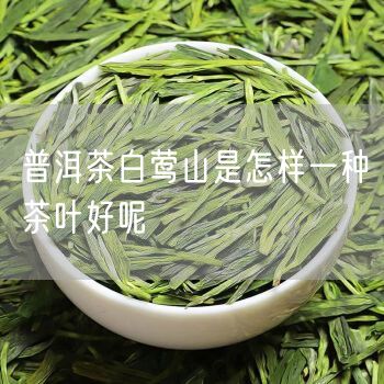 普洱茶白莺山是怎样一种茶叶好呢