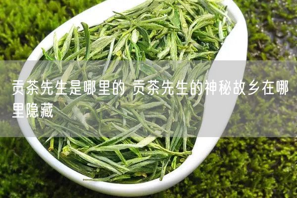 贡茶先生是哪里的 贡茶先生的神秘故乡在哪里隐藏