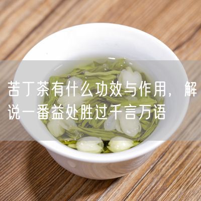 苦丁茶有什么功效与作用，解说一番益处胜过千言万语