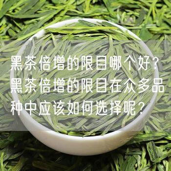 黑茶倍增的限目哪个好？黑茶倍增的限目在众多品种中应该如何选择呢？