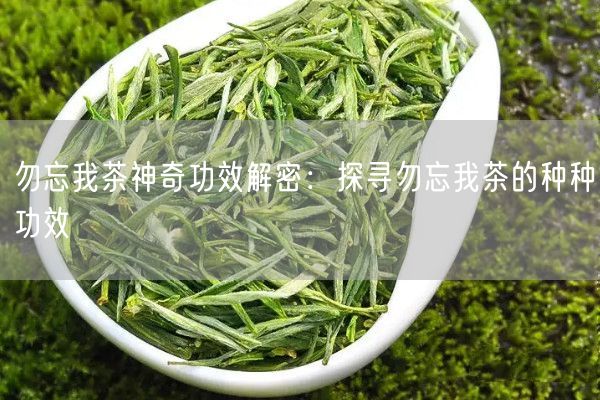 勿忘我茶神奇功效解密：探寻勿忘我茶的种种功效 