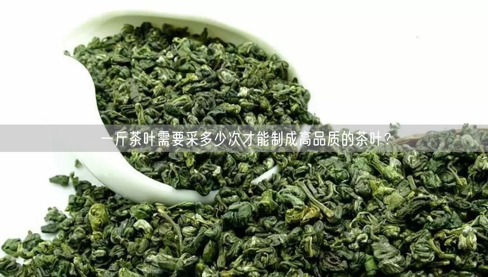 一斤茶叶需要采多少次才能制成高品质的茶叶？