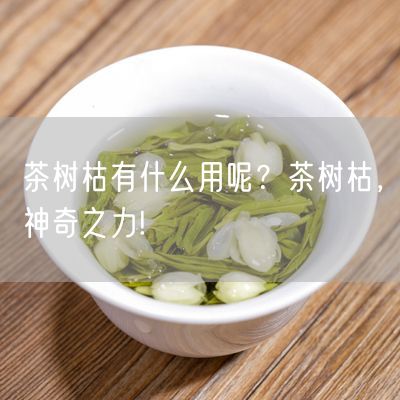 茶树枯有什么用呢？茶树枯，神奇之力!