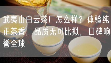 武夷山白云茶厂怎么样？体验纯正茶香，品质无可比拟，口碑响誉全球