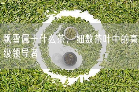 飘雪属于什么茶，细数茶叶中的高级领导者