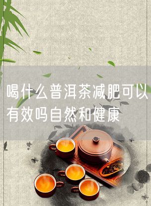 喝什么普洱茶减肥可以有效吗自然和健康