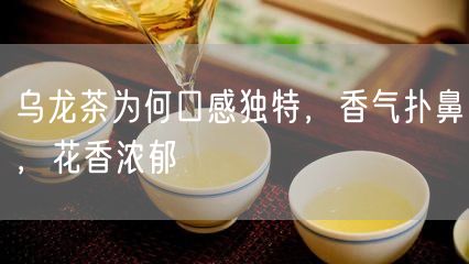 乌龙茶为何口感独特，香气扑鼻，花香浓郁