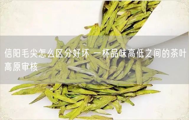 信阳毛尖怎么区分好坏 一杯品味高低之间的茶叶高原审核