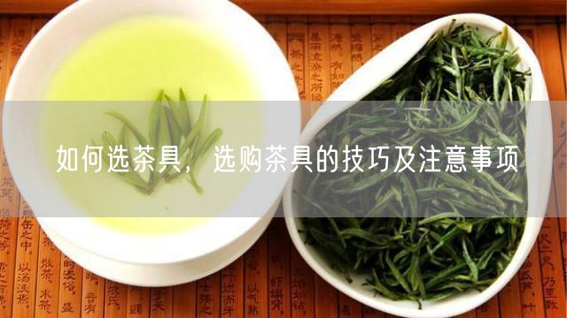 如何选茶具，选购茶具的技巧及注意事项