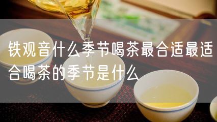 铁观音什么季节喝茶最合适最适合喝茶的季节是什么