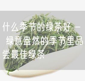 什么季节的绿茶好 - 绿意盎然的季节里品尝最佳绿茶