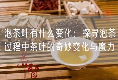 泡茶叶有什么变化：探寻泡茶过程中茶叶的奇妙变化与魔力