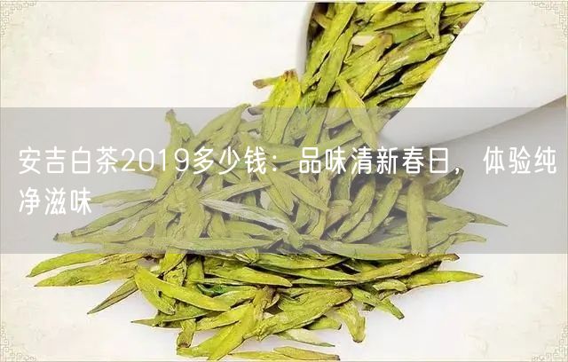 安吉白茶2019多少钱：品味清新春日，体验纯净滋味