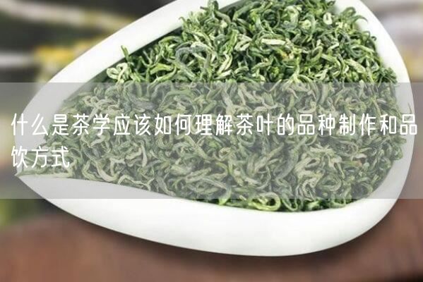 什么是茶学应该如何理解茶叶的品种制作和品饮方式